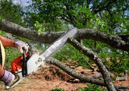 Best Lawn Mowing  in Piedmont, AL
