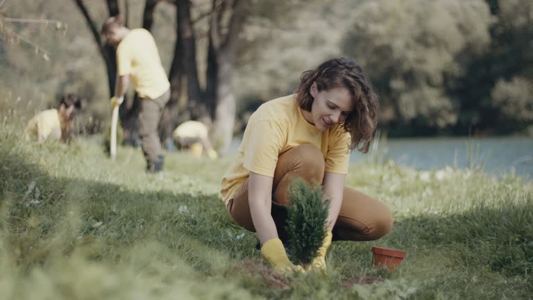 Best Lawn Mowing  in Piedmont, AL